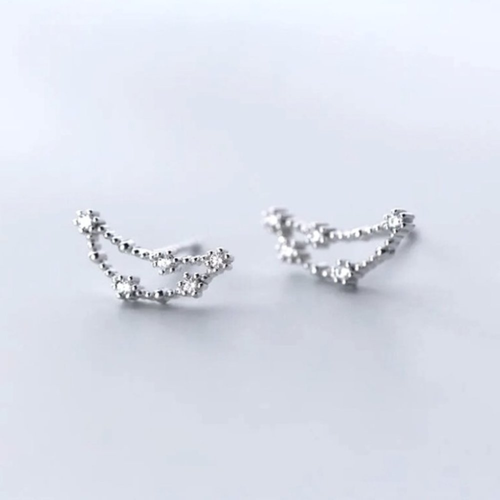 Capricorn Constellation Star Cute Gift Astrology Zodiac Sterling Silver Earrings